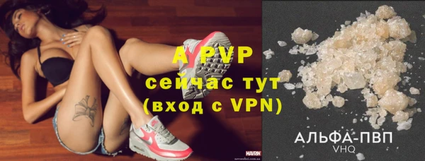 ГАЛЛЮЦИНОГЕННЫЕ ГРИБЫ Кукмор
