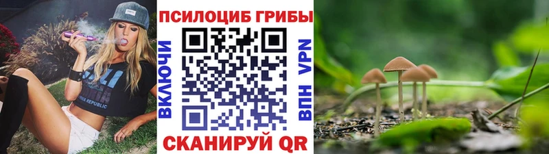 Галлюциногенные грибы MAGIC MUSHROOMS  Купить  Ишим 
